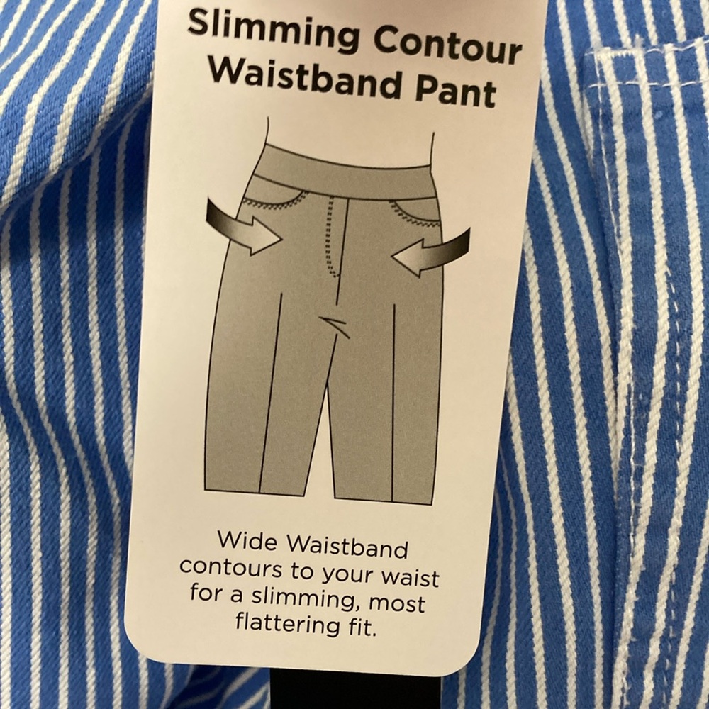 Ruby Rd. Blue and White Striped Pants - Picture 4 of 11